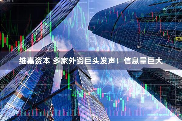 维嘉资本 多家外资巨头发声！信息量巨大