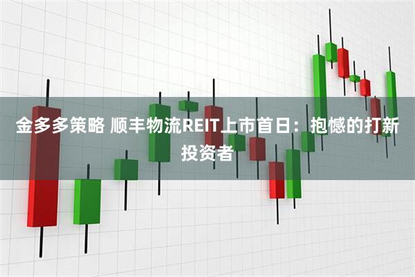 金多多策略 顺丰物流REIT上市首日：抱憾的打新投资者